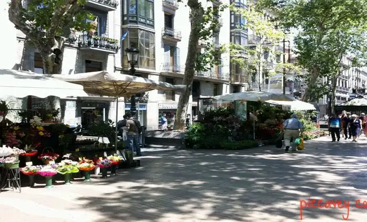 Barcelona-Spain-Rambla-Flores