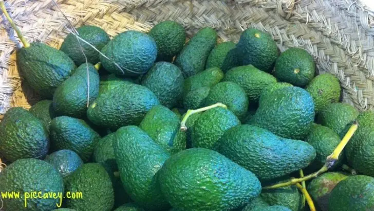 Local Seasonal Fruit in Southern Spain