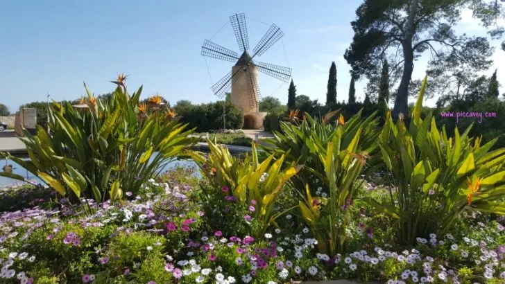 Zoetry Mallorca escape at SaTorre – Weekend to unwind