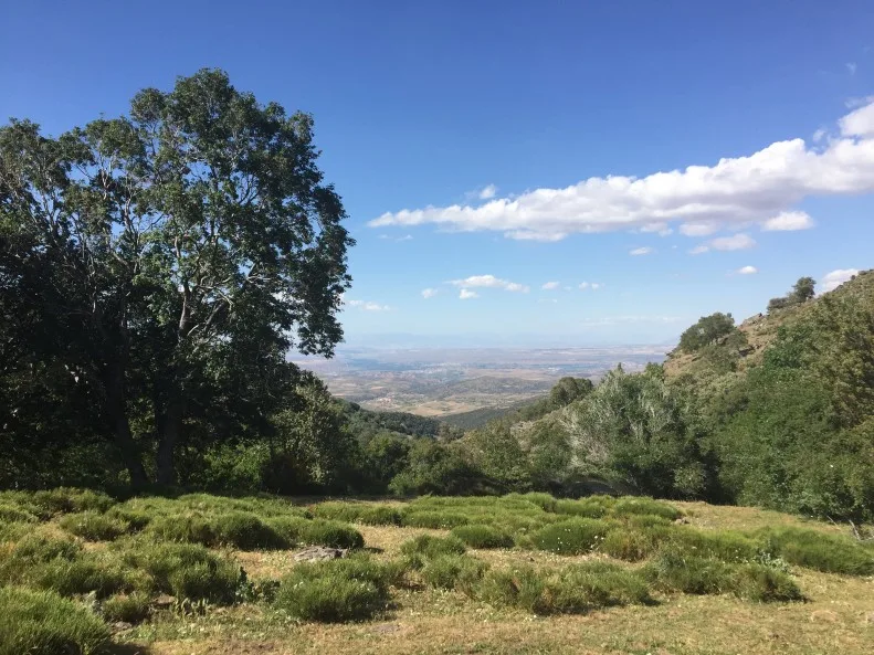 Sierra Nevada Dehesa de Camarate Granada