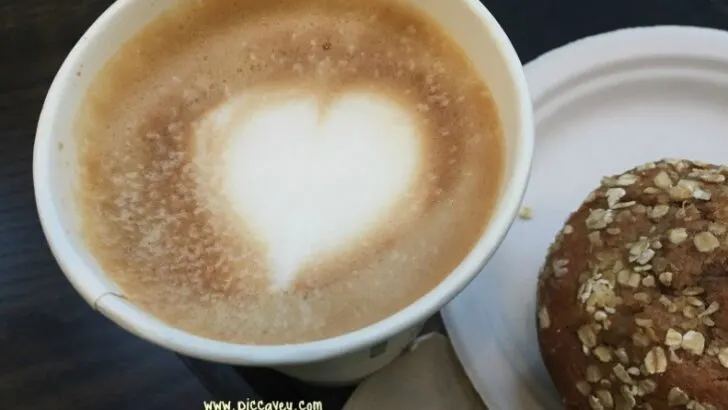 Single Origin Coffee -Learning about my Café con Leche