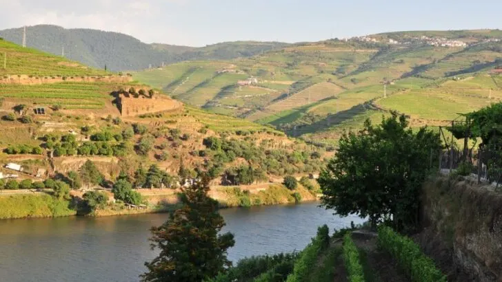 Take a River Cruise Along the Douro