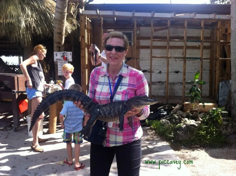 Travel Blogger Everglades Florida