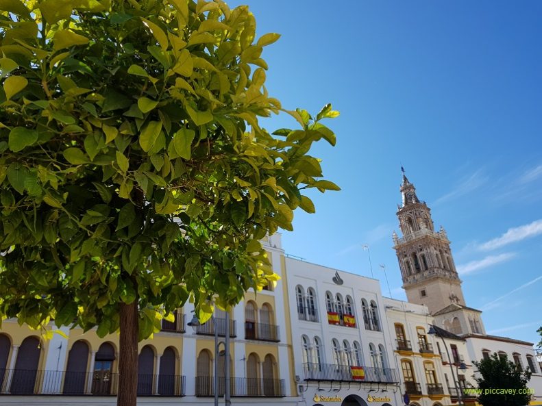 Ecija Sevilla