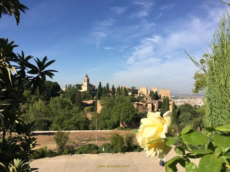 Generalife Summer Alhambra Granada Spain