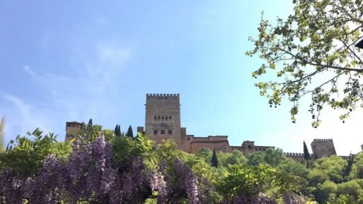 MICCAI 2018 Granada Spain Alhambra Palace & Local Food Experiences