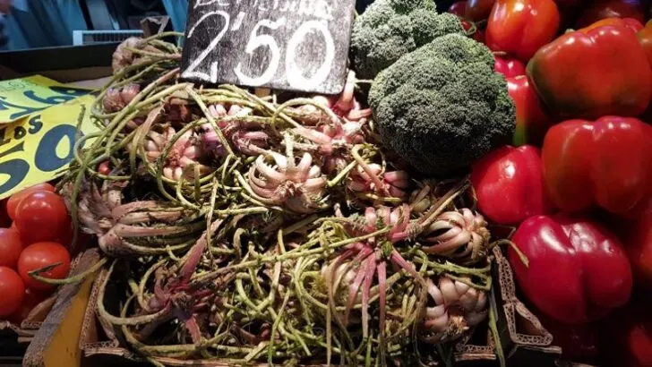 How to Improve Your Cooking Skills + Cook Unique Dishes