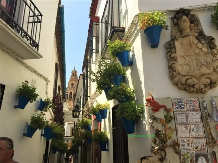 Cordoba Patios Calleja de las Flores