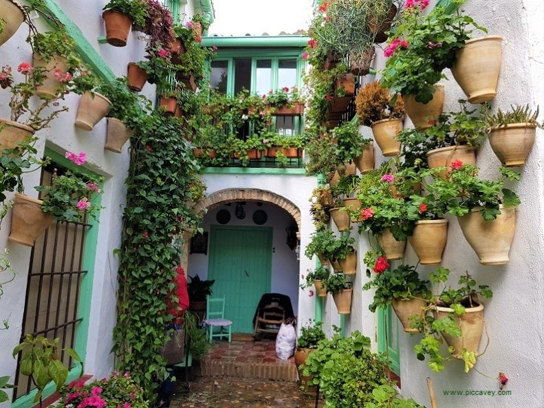 Cordoba Patios Spain by piccavey