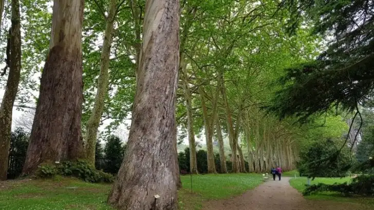 Simple Nature Based Crafts You’ll Love