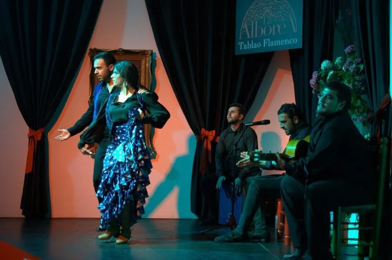 Flamenco Granada MICCAI