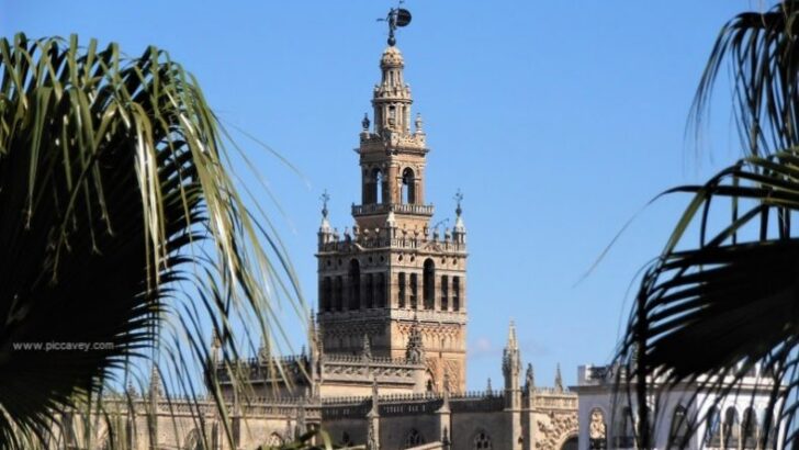 How to Experience Seville Like a Local