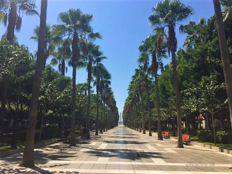 Palm Trees In Almeria Spain