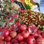 Seasonal Fruit in Spain Jujubes Berries Pomegranate