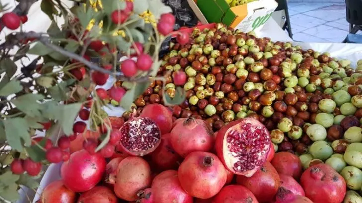 The Pomegranate Symbol of Granada Spain