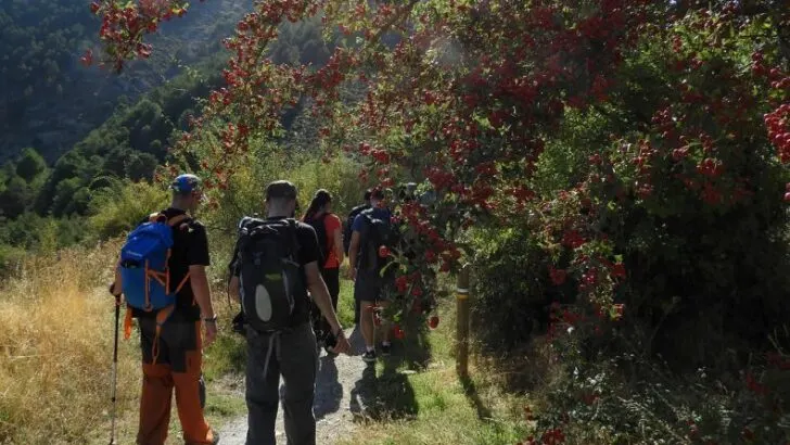 Education through travel – Is Travelling the Best Education?