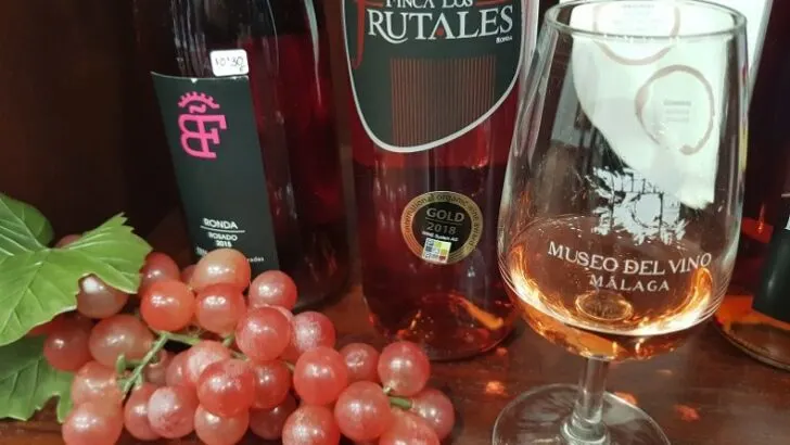 Discovering Local Wines + Raisins at Malaga Wine Museum