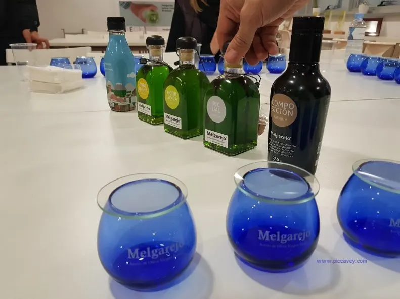 Olive Oil Tasting in Spain