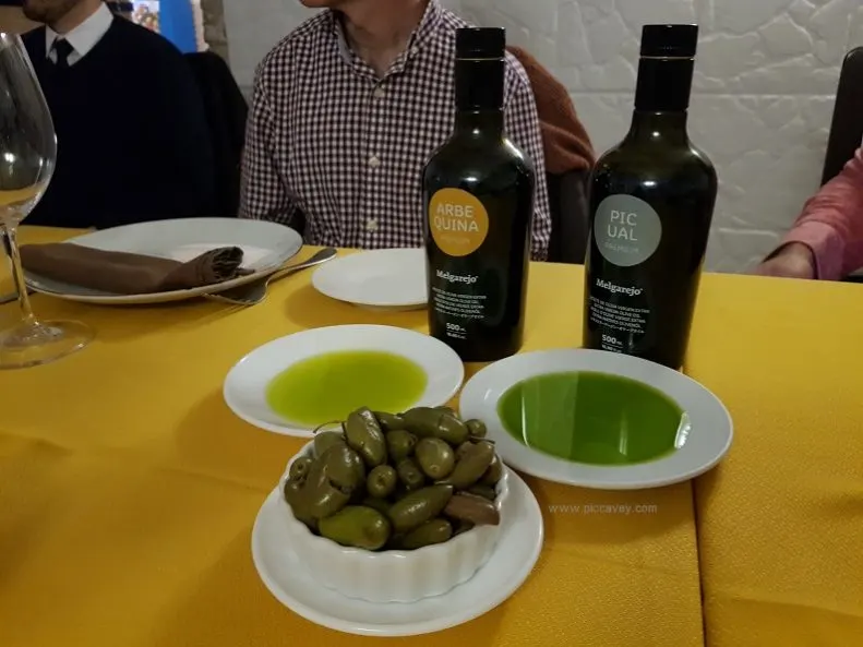 Olives and Olive Oil in Spain