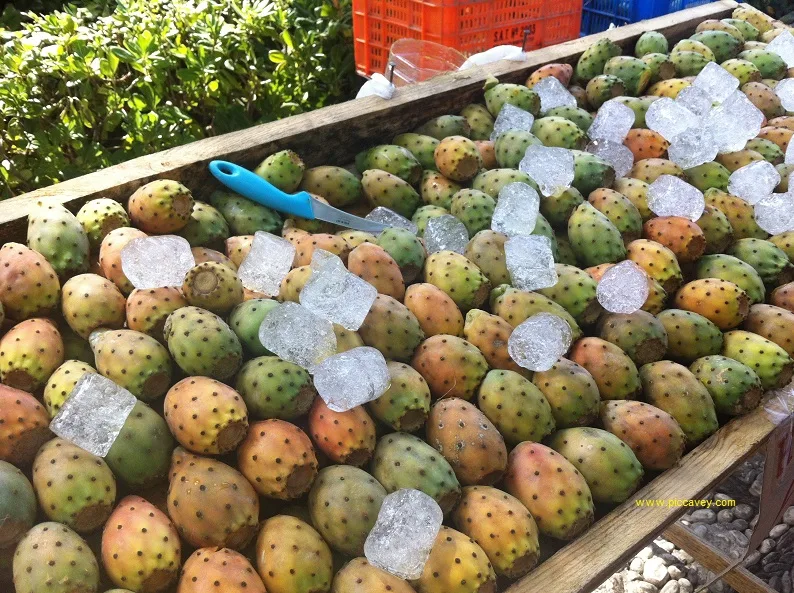  Chumbos Prickly Pears Spanish Food
