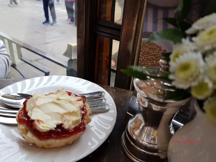 Scone at Bettys Tea Room York England