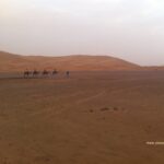 Morocco Road trip: Sahara Desert, Roses and Kasbahs