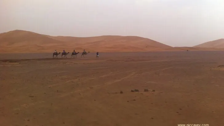 Morocco Road trip: Sahara Desert, Roses and Kasbahs