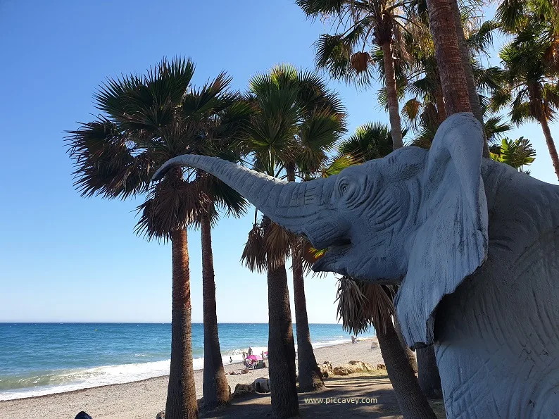 Beach San Pedro Costa del Sol