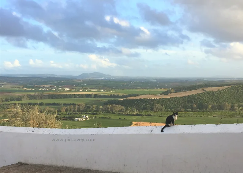 Views from Arcos de la Frontera