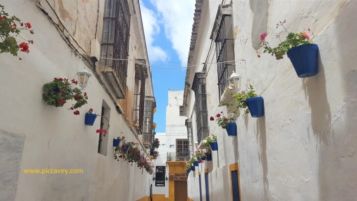 Jerez Spain & White Villages of Cadiz by Rental Car