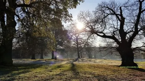 Top tips for Moving to the UK to Study