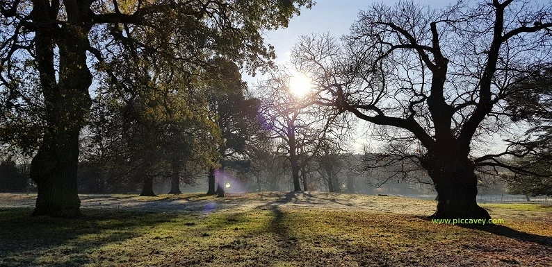 Eastwood Hall grounds Nottinghamshire 