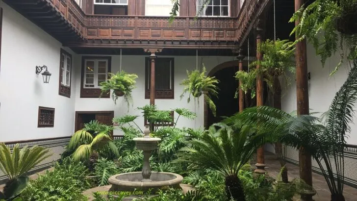 What to See in La Laguna + Santa Cruz de Tenerife