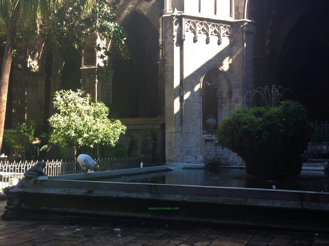 Barcelona Cathedral Spain