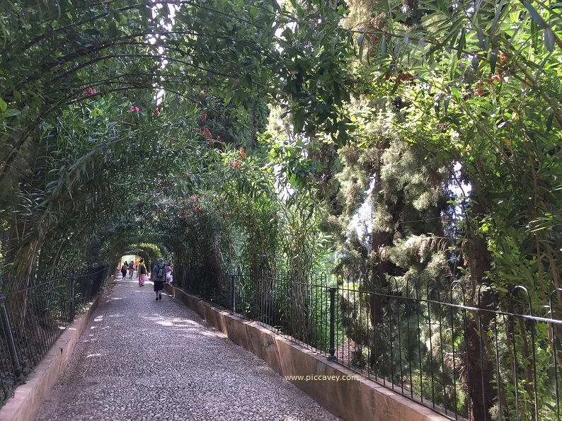 Paseo de las Adelfas Alhambra Gardens 