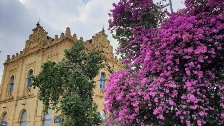 Huelva Spain – 8 Sights in the Provincial Capital