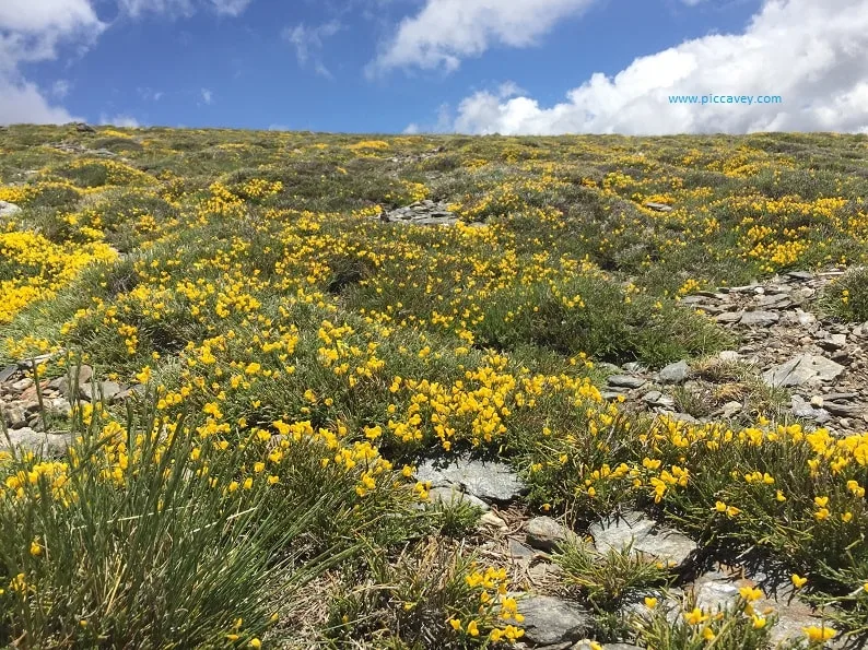 Ginesta Sierra Nevada Sustainable Spain