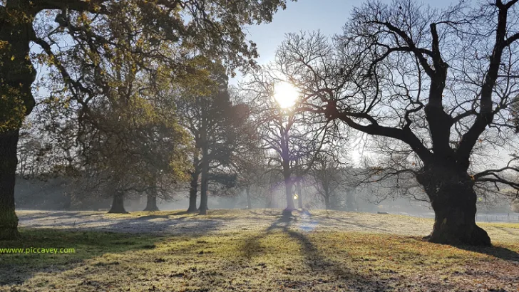 Top Things to Do in Britain This Summer