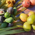 Tropical fruit production in South Spain