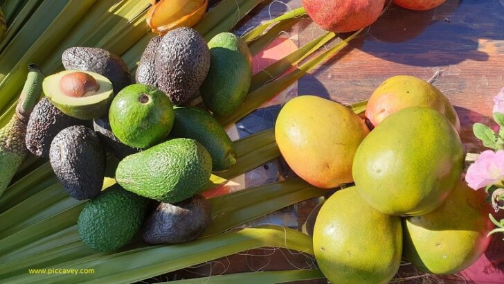 How Seasonal Spanish Foods Inspire Healthy Student Eating Habits