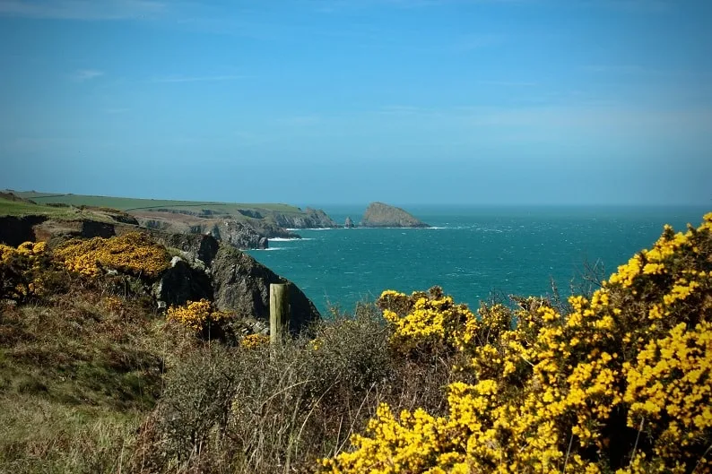 Pembrokeshire, UK by Tobias Keller on Unsplash