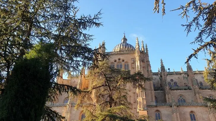 Universities in Spain: Areas and Specialities