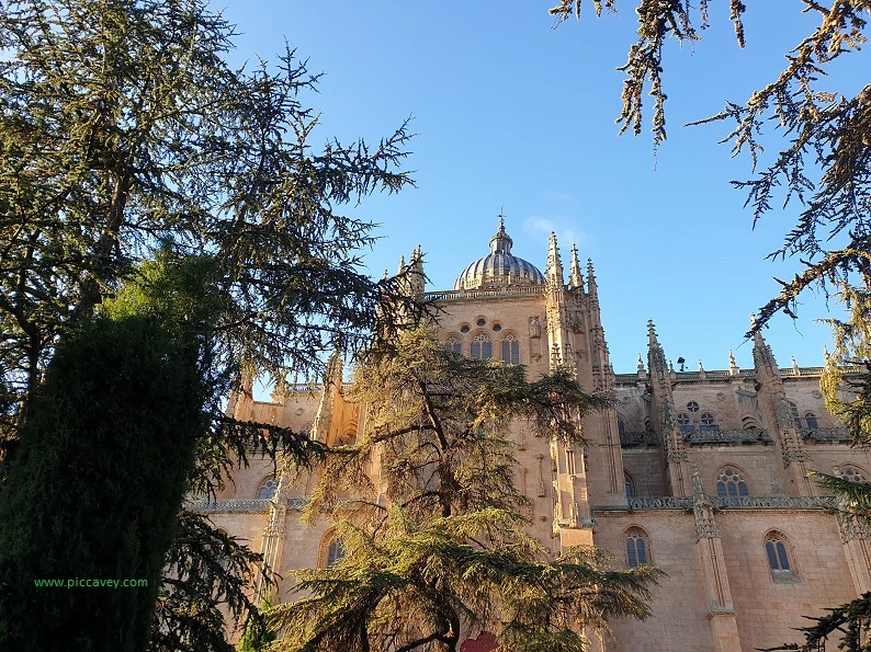 Salamanca University Spain