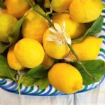 Spanish Fruit -A Seasonal guide. Quince, Chirimoya, Loquats