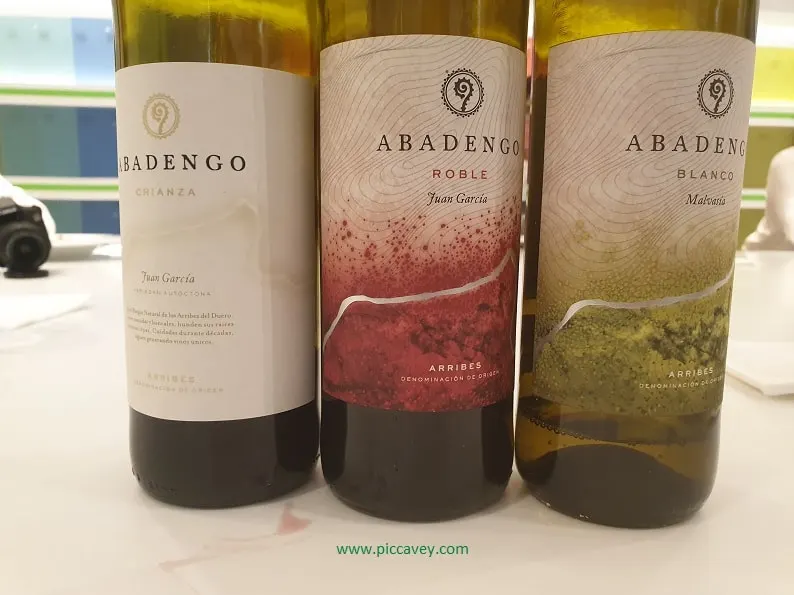 Local Wines in Salamanca-