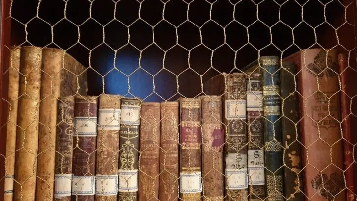 How to Write a 500 word essay: Tips and Tricks