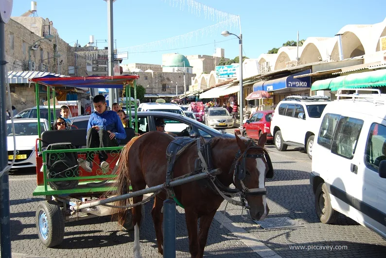 Horse carriage in Akko