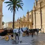 Horses Seville Cathedral