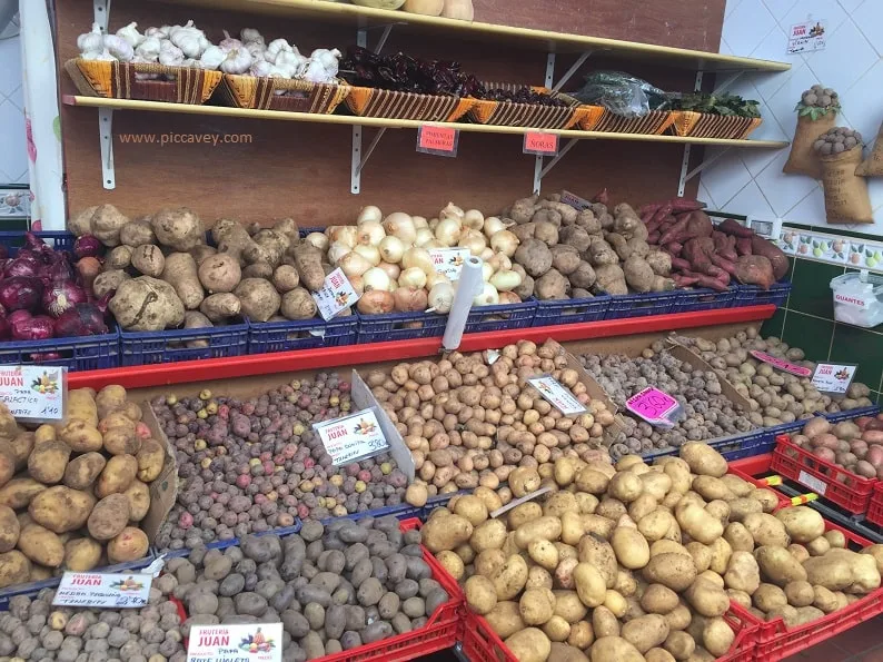 Typical Canary Islands Food Potatoes