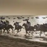 Sanlucar de Barrameda Horse Race